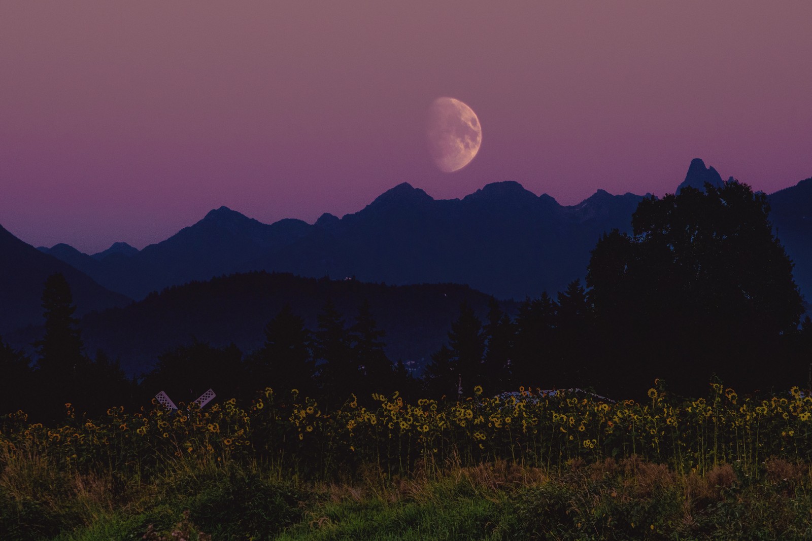 projects-moon-002